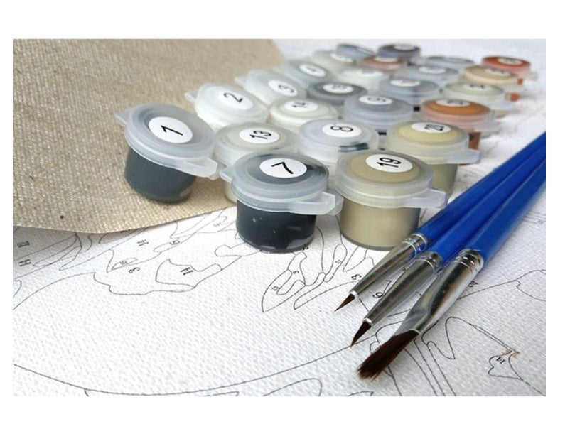 Girl With A Pearl Earring DIY Painting By Numbers Kit