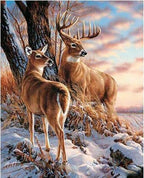 Winter Deer Scene – Digital Oil Painting By Numbers Kit