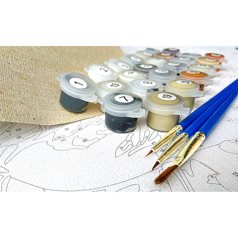 Beautiful Peacock - DIY Painting By Numbers Kit