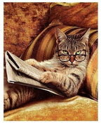 Cat   - DIY Painting By Numbers Kits