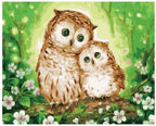Cute Owls DIY Painting By Numbers Kit