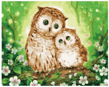 Cute Owls DIY Painting By Numbers Kit