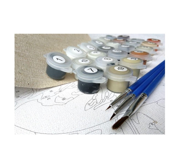 40x50CM DIY Digital Painting