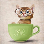 DIY Diamond Painting