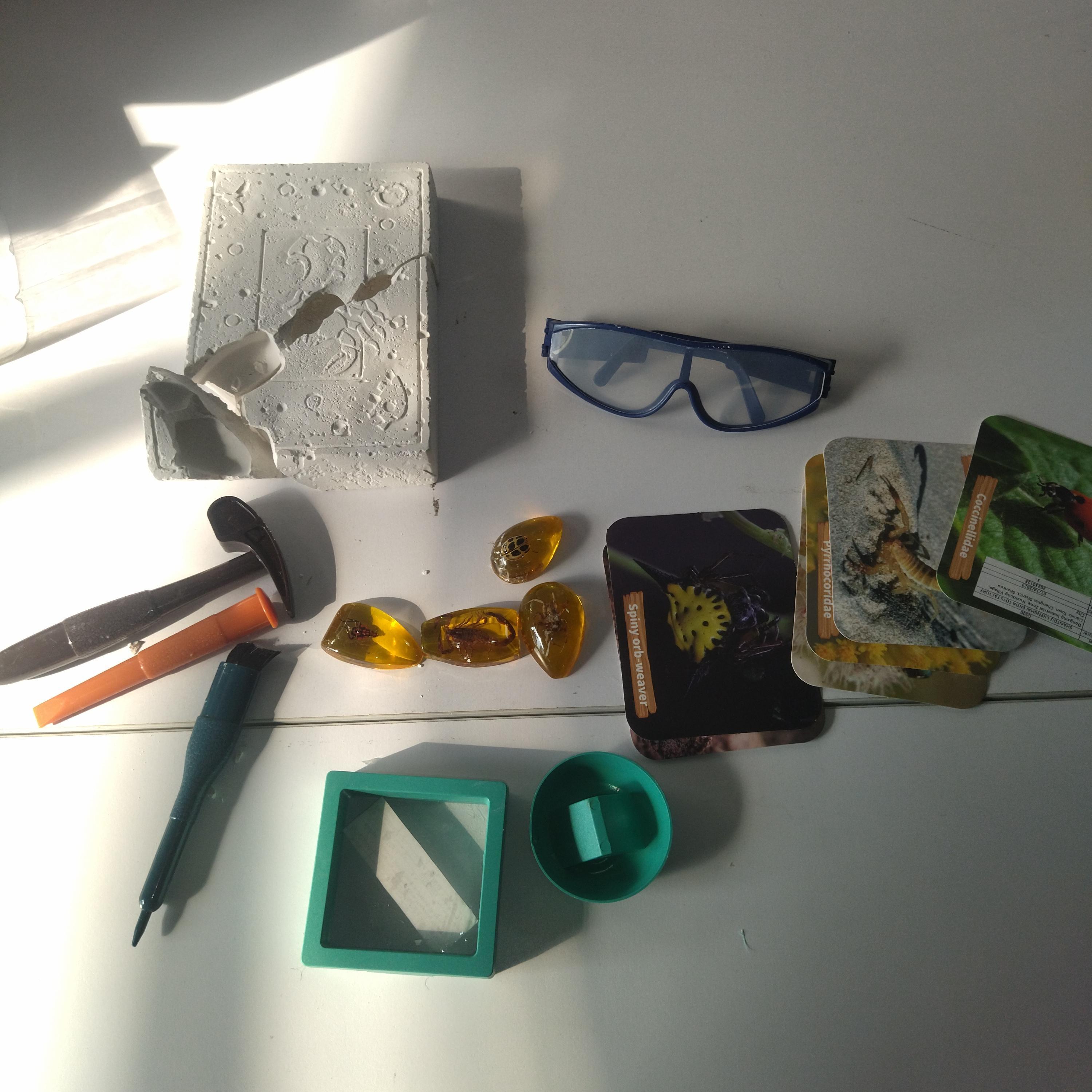 Amber Worm Digging Kit - The Perfect Gift For Little Explorers