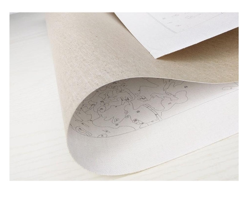 Girl With A Pearl Earring DIY Painting By Numbers Kit